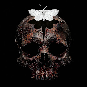 Hex Blood — 7Th Ward Pact
