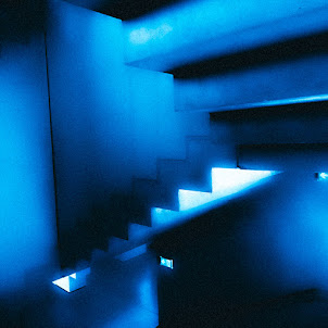 Vision